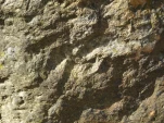 p1310725
