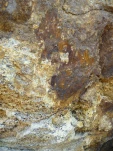 p1310799