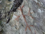 p1310839