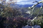 Paysage