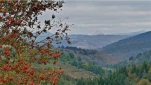 Couleurs d'automne