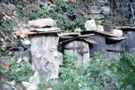 Ruches aménagées dans des troncs de châtaigniers (LOUBARESSE)