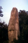 Menhir de BIDON