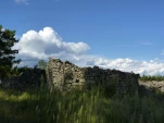 p1310815