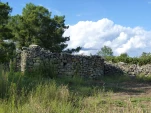 p1310805