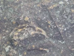 p1310856